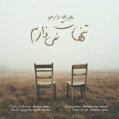 دانلود آهنگ علیرضا دادجو تنهات نمیذارم